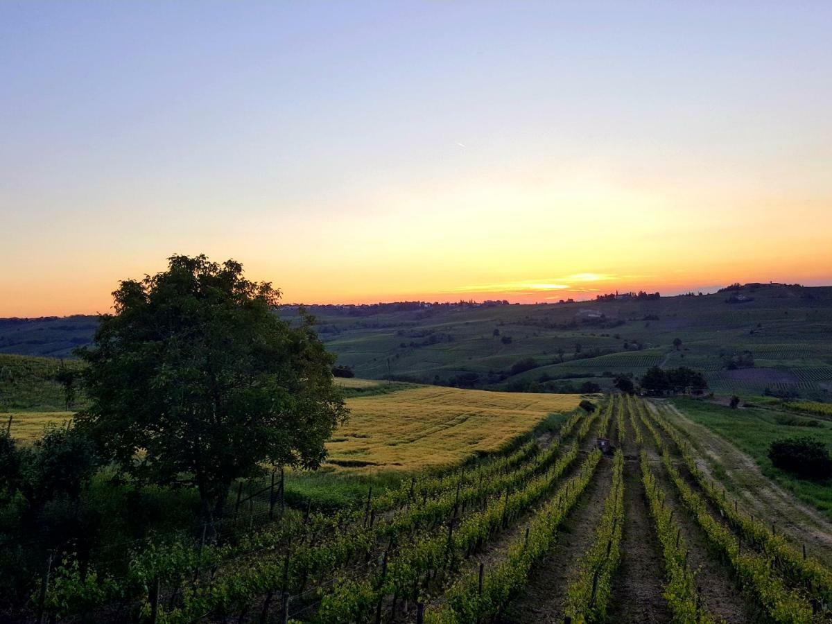 La Terrazza Sui Vigneti-Rovescala Bed & Breakfast San Damiano al Colle Exterior foto