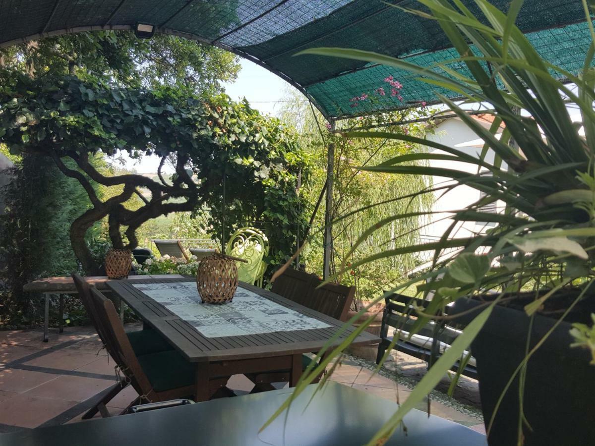 La Terrazza Sui Vigneti-Rovescala Bed & Breakfast San Damiano al Colle Exterior foto