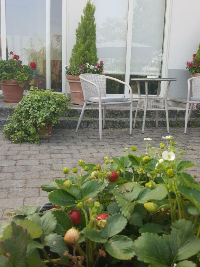 La Terrazza Sui Vigneti-Rovescala Bed & Breakfast San Damiano al Colle Exterior foto